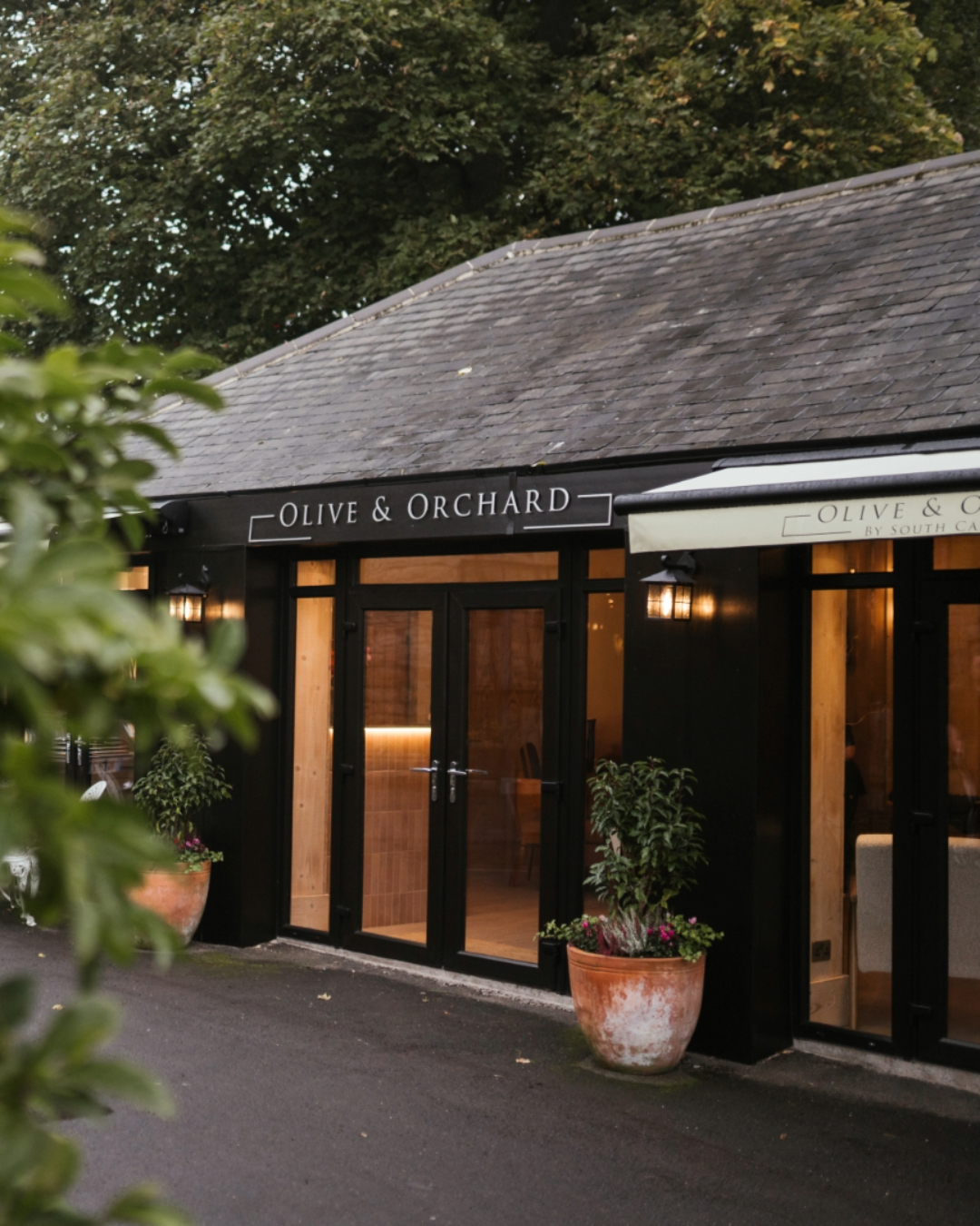 Refer A Friend Offers at Olive & Orchard in Stanley, Durham Refer A Friend Offers at Olive & Orchard in Stanley, Durham